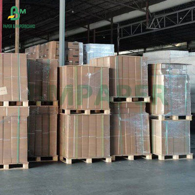 Dos caras Azul 80g Ingeniería Diseño Rollos de papel azul 24 &quot;x 50 yardas