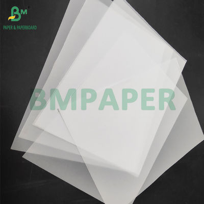 Papel blanco translúcido para envoltura de flores 60 x 85 cm de peso ligero