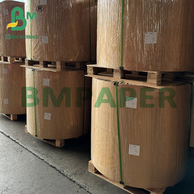 210 g 230 g Papel para recipientes con recubrimiento en PE de grado alimenticio