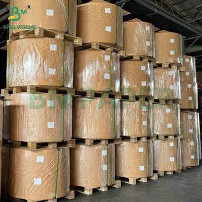 Kit 7 Papel resistente al calor y a la grasa para productos alimenticios fritos 40 g 50 g