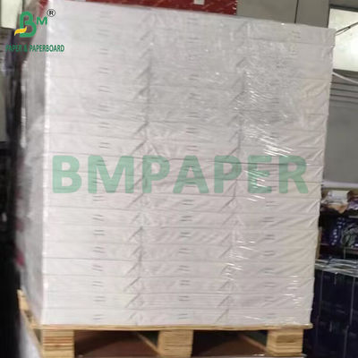 240 g 260 g Papel fotográfico brillante A4 210 mm X 297 mm Ream Pack Hojas fotográficas