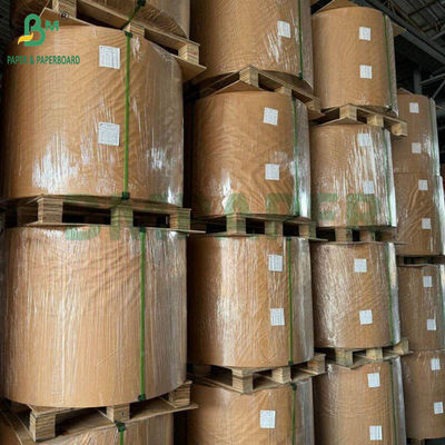 130 g 300 g Papel de pasta de caña de azúcar natural para platos de alimentos Rollos de cartón biodegradable