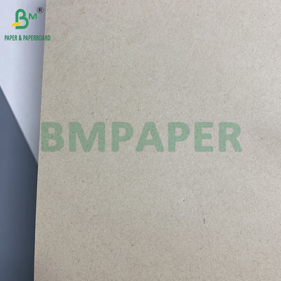 130 g 300 g Papel de pasta de caña de azúcar natural para platos de alimentos Rollos de cartón biodegradable