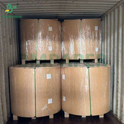 300 gm Papel de pasta de caña de azúcar natural para colgar etiquetas biodegradable 700 mm