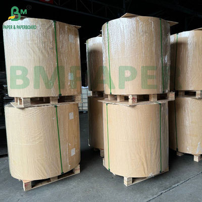 Papel de recubrimiento para bandejas de alimentos de grado 3 de 35 gm a 40 gm de papel resistente a la grasa