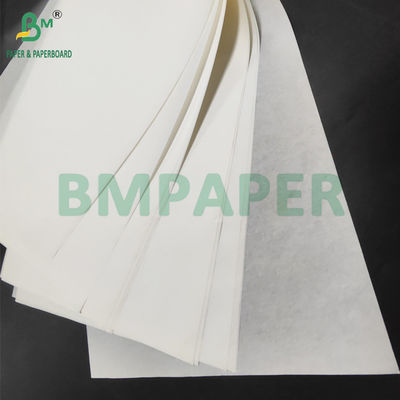 Papel de calibre alimenticio para muffins 70 x 100 cm