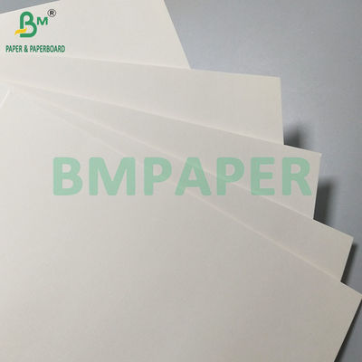 Papel resistente al aceite alimenticio recubierto mate de 260 gm+18 PE para la fabricación de vasos y tazones de papel desechables