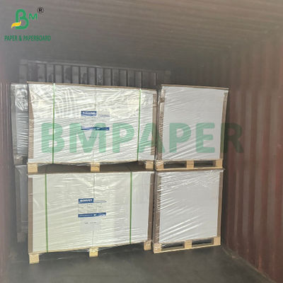 Papel de envoltura de tejido de 17 gramos de color para frutas Embalaje de 50 x 70 cm de peso ligero