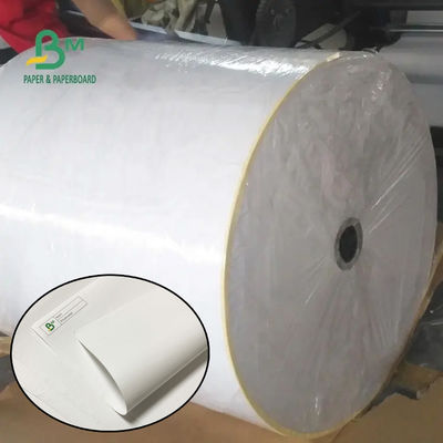 55 gramos 790 mm 795 mm Recibo de papel térmico Jumbo Roll