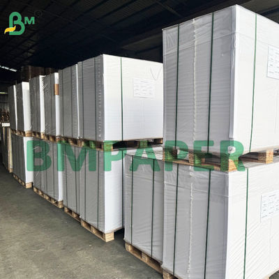Papel de silicona resistente a altas temperaturas y seguro para horno para envasar alimentos