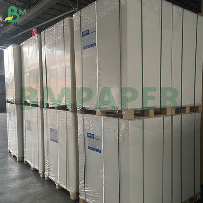 240 g de papel blanco para tazas 100% de pasta de madera y sin recubrimiento para tazas