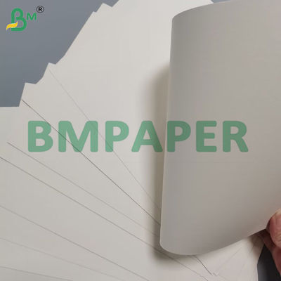 Papel de tazón de 190 g 100 % de madera virgen de celulosa personalizada recubierta para tazón de papel