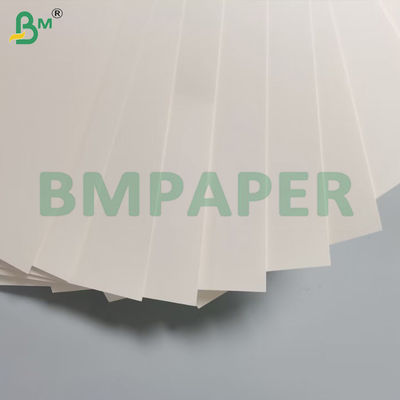 270 g + 15 g de papel de base de copa de PE de un solo lado revestido de madera virgen 70 * 100cm