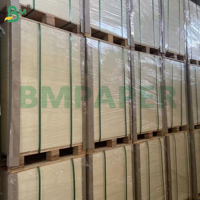 230 gramos de hojas de papel absorbentes con absorción rápida del agua