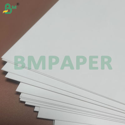 135-350 GSM Rollo de papel para recipientes de alimentos de alta rigidez para cuencos de papel