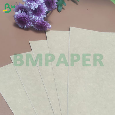135-350 GSM Rollo de papel para recipientes de alimentos de alta rigidez para cuencos de papel