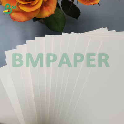 210 g + 15 g papel de cuenco de calidad alimentaria PE revestido de madera virgen