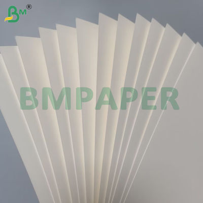 210 g + 15 g de papel de cuenco recubierto en PE de calidad alimentaria