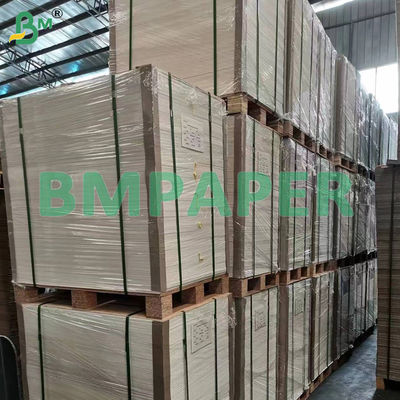 Papel para hornear de silicona impermeable a la grasa de calidad alimentaria con doble recubrimiento lateral