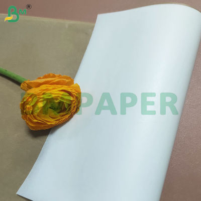Hojas de papel de cocina recubiertas de silicona de doble cara reciclables