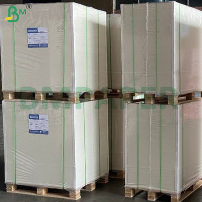 Papel de núcleo azul de 310 gramos con doble lado revestido de hojas de cartón brillante