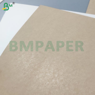 Hojas de papel impermeable para tazas no tóxicas y respetuosas con el medio ambiente revestidas con PE