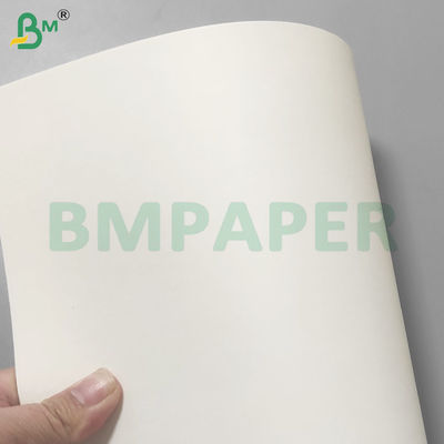 Rolos de papel para bebidas de tazas de papel de archivo con revestimiento en PE a prueba de fugas 190gm+10gm