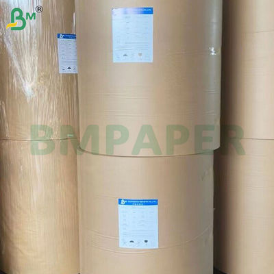Rolos de papel para bebidas de tazas de papel de archivo con revestimiento en PE a prueba de fugas 190gm+10gm