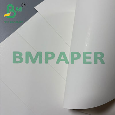 250 gm de cartón blanco natural de caja plegable de cartón FBB SBS 70 * 100cm