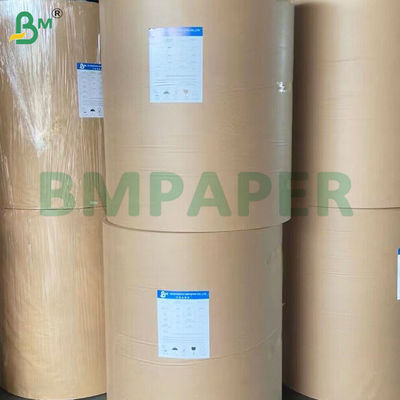 Papel de cuenco revestido con PE de superficie lisa para envases de alimentos sostenibles