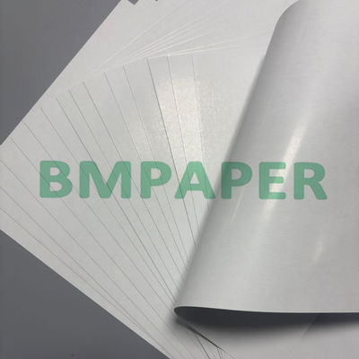 300 gramos de papel de núcleo azul de doble lado recubierto de cartón brillante