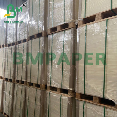 Papel para hornear de pergamino de silicona no adhesivo de calidad alimentaria
