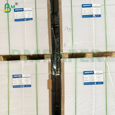10 gramos de papel de doble cara con revestimiento en PE resistente al calor para beber