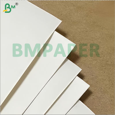 Papel para tazas y cajas de alta extensibilidad