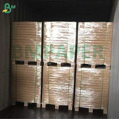 Papel para tazas y cajas de alta extensibilidad