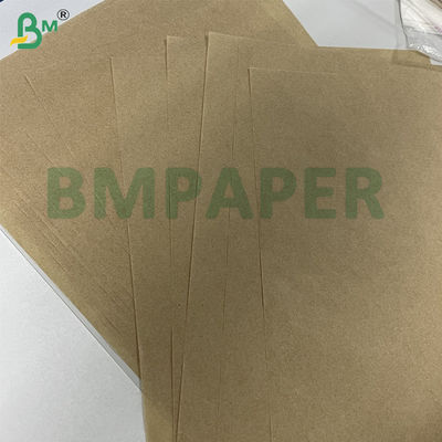 Kit3 Kit5 Kit7 Papel resistente a la grasa degradable para envases de alimentos fritos
