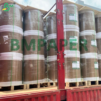 Papel Kraft PE blanco de una sola cara de alta calidad para envases alimentarios