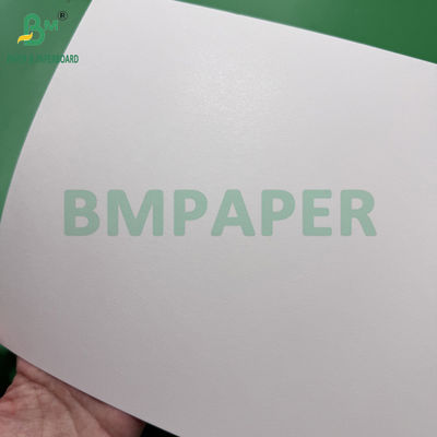 0.5mm Papel absorbente blanco recubierto 275g + 15g PE Matt Revestimiento de un lado