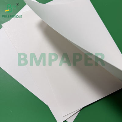 0.5mm Papel absorbente blanco recubierto 275g + 15g PE Matt Revestimiento de un lado