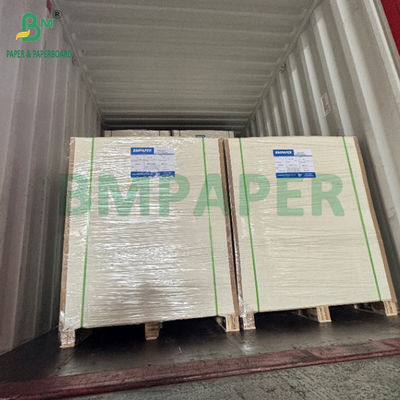 0.5mm Papel absorbente blanco recubierto 275g + 15g PE Matt Revestimiento de un lado