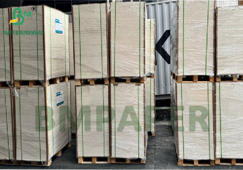 300 g 350 g 900 mm 1000 mm Papel SBS de calidad alimentaria recubierto para envases de alimentos