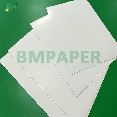 300 g 350 g 900 mm 1000 mm Papel SBS de calidad alimentaria recubierto para envases de alimentos
