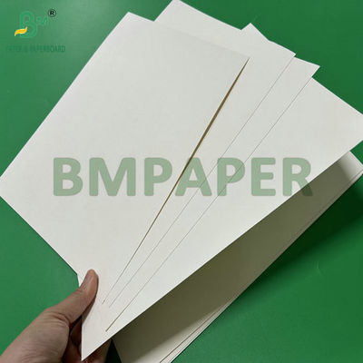 300 g 350 g 900 mm 1000 mm Papel SBS de calidad alimentaria recubierto para envases de alimentos