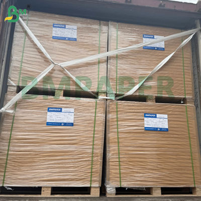 Papel de silicona antiadherente de grado alimenticio para freidoras de aire
