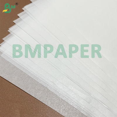 Papel de silicona antiadherente de grado alimenticio para freidoras de aire