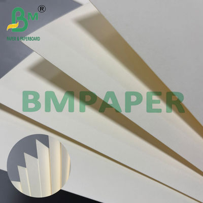 200 g de papel blanco para tazas y tazas de calidad alimenticia
