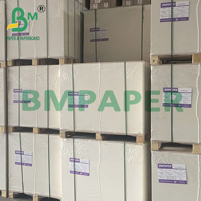 200 g de papel blanco para tazas y tazas de calidad alimenticia