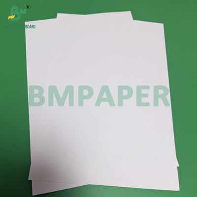 Hojas de papel Braille de 140 gramos de alto peso, blanco brillante y sin madera, de 8,5 x 11&quot; x 28 x 33 cm
