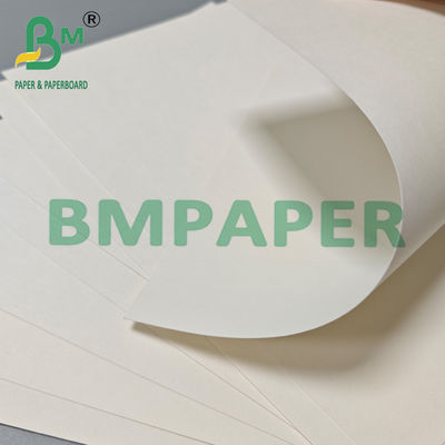 Papel de taza de té caliente biodegradable de 210 gm 230 gm Materia prima