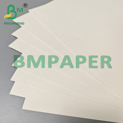 Papel de taza de té caliente biodegradable de 210 gm 230 gm Materia prima
